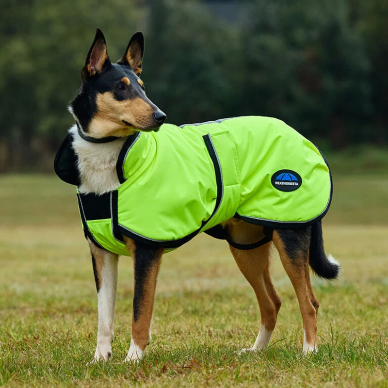WeatherBeeta ComFiTec Reflective 300D Deluxe Showerproof Dog Coat - Yellow-2
