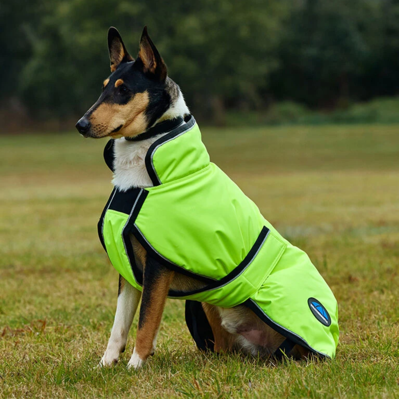 WeatherBeeta ComFiTec Reflective 300D Deluxe Showerproof Dog Coat - Yellow-3