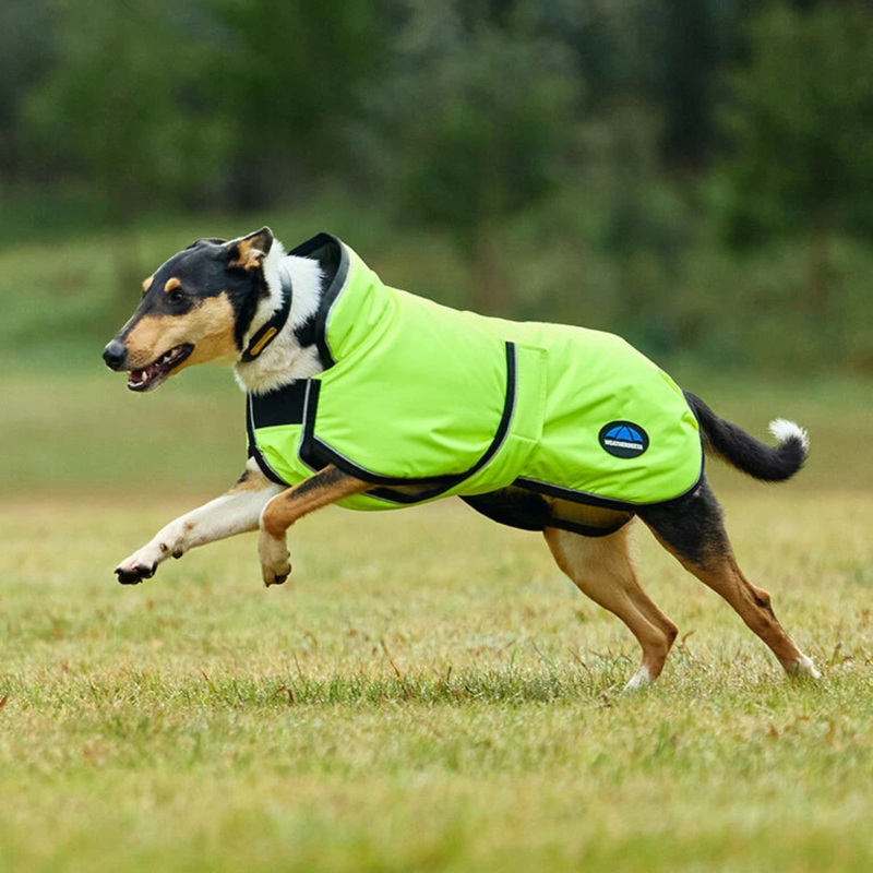 WeatherBeeta ComFiTec Reflective 300D Deluxe Showerproof Dog Coat - Yellow-4