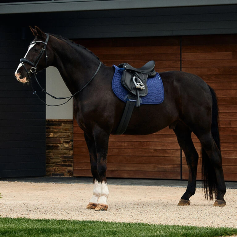 Weatherbeeta Suede Elite Air-Tec All Purpose Saddle Pad - Navy-4