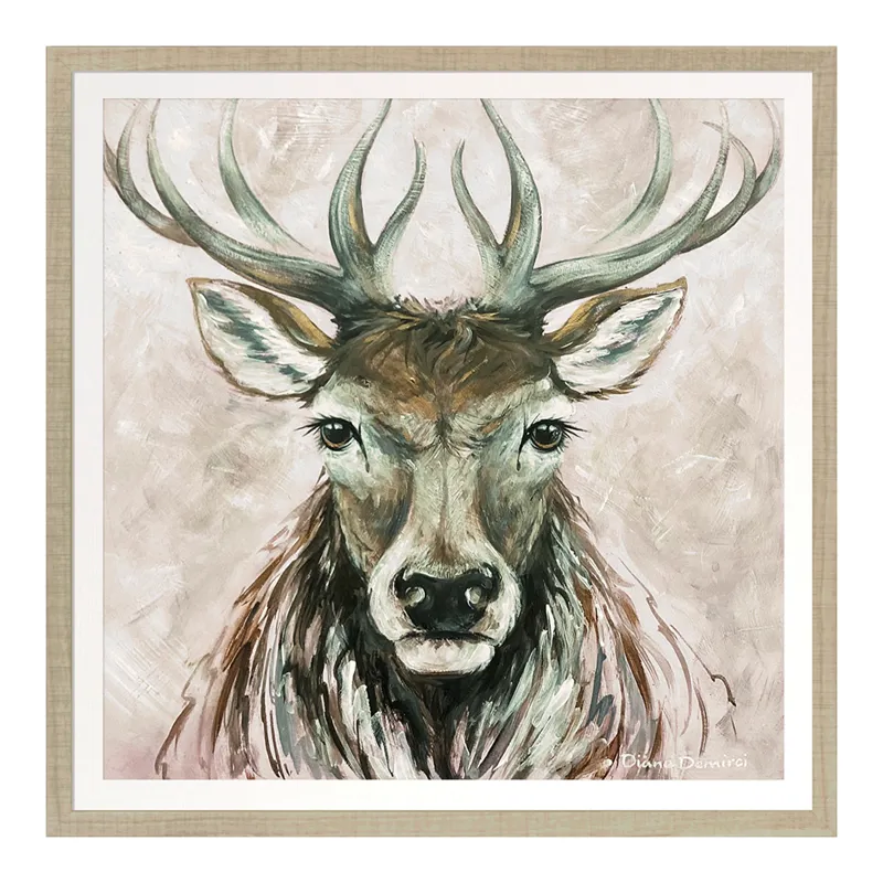 Camelot Dermot - Small