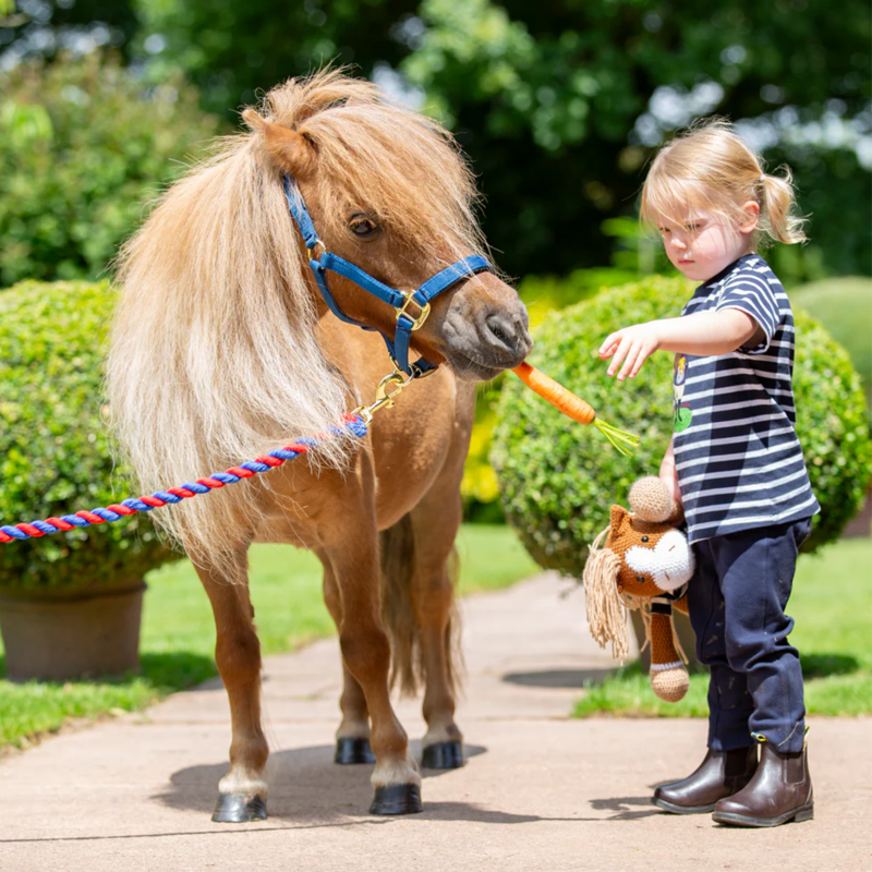 Winnie and Me Jodhpurs - Navy-1