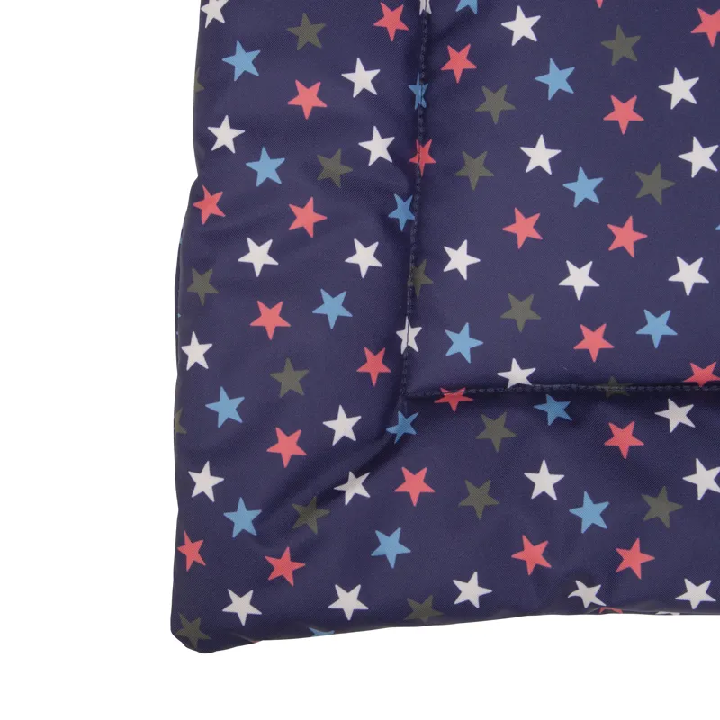 Digby and Fox Waterproof Padded Dog Bed - Star-1