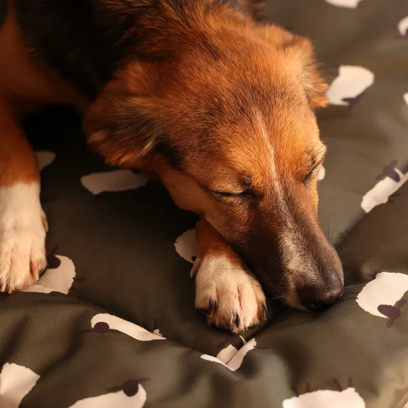 Digby and Fox Waterproof Padded Dog Bed - Sheep-4