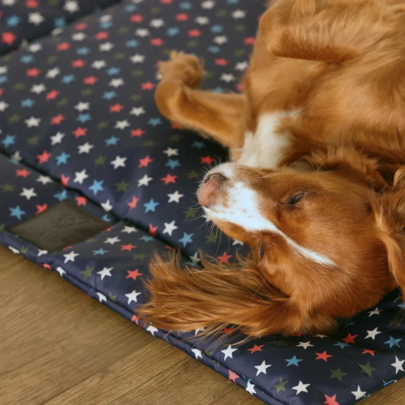 Digby and Fox Waterproof Padded Dog Bed - Star-3