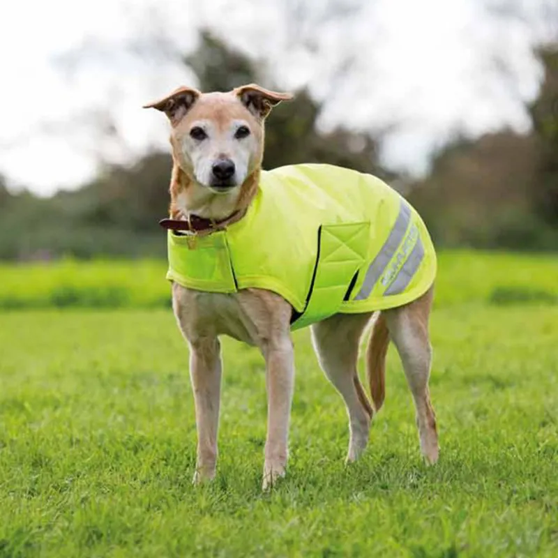 Shires Equi-Flector Waterproof Dog Coat - Yellow