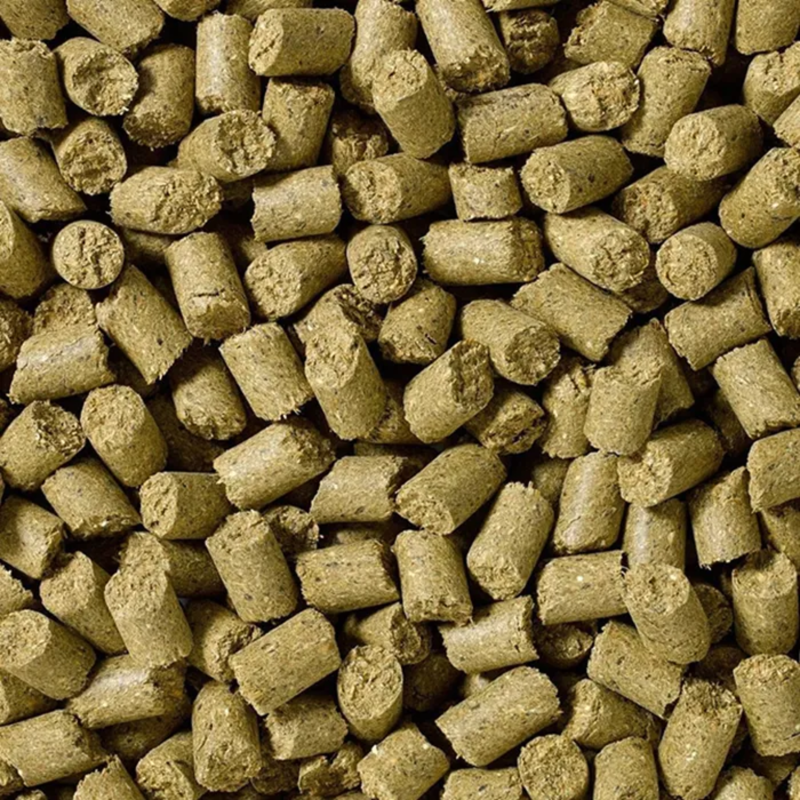 Saracen Christmas Munchies 1.8kg - Candy Cane-1