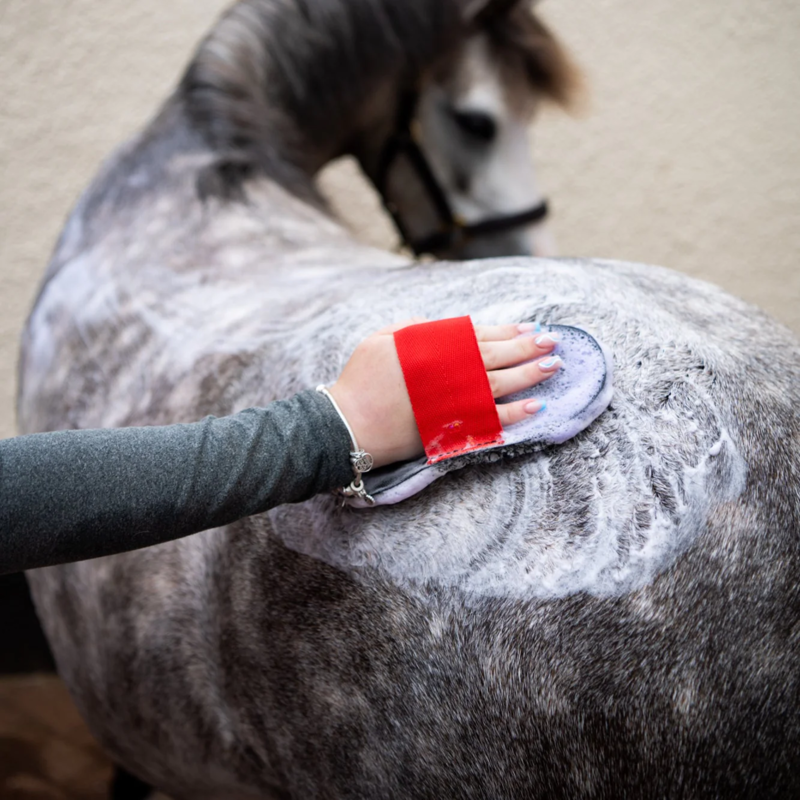 Smart Grooming Super Groomer - Black-4