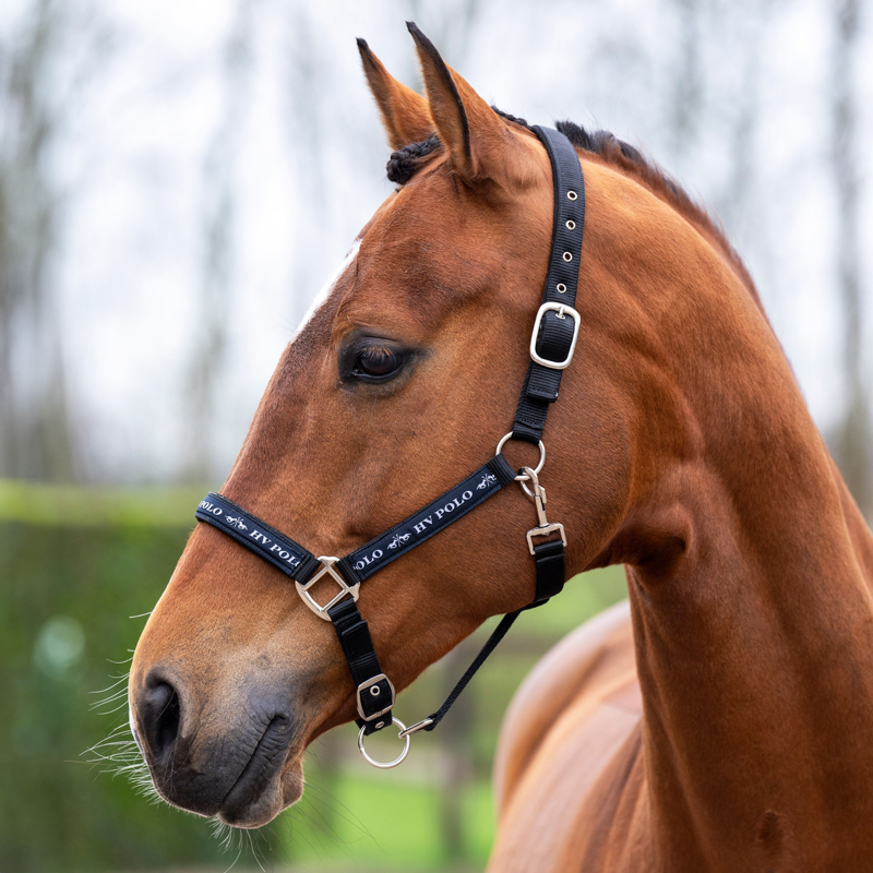 HV Polo Nena Head Collar - Black-1