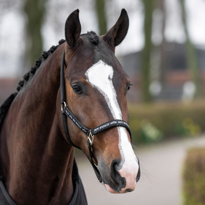 HV Polo Nena Head Collar - Black-3