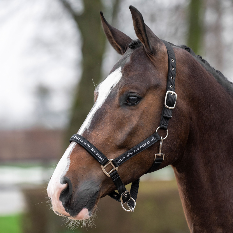 HV Polo Nena Head Collar - Black-5