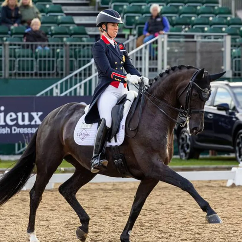 LeMieux Suede Dressage Square - White-1