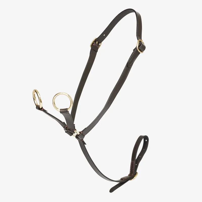 LeMieux Toy Pony Martingale - Brown