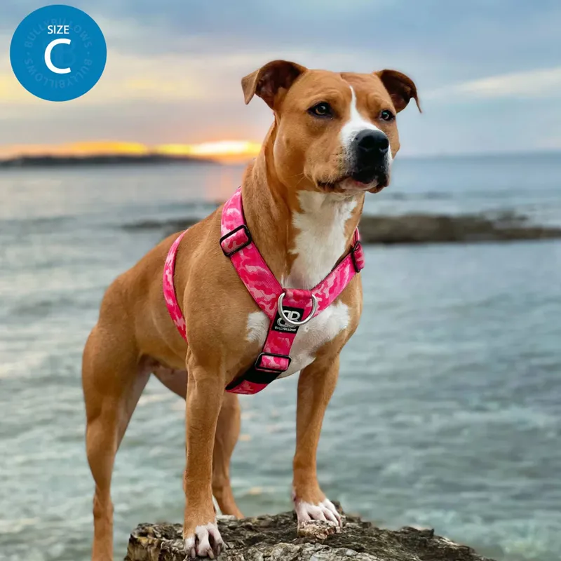 BullyBillows TRI-Harness - Military Tan-5