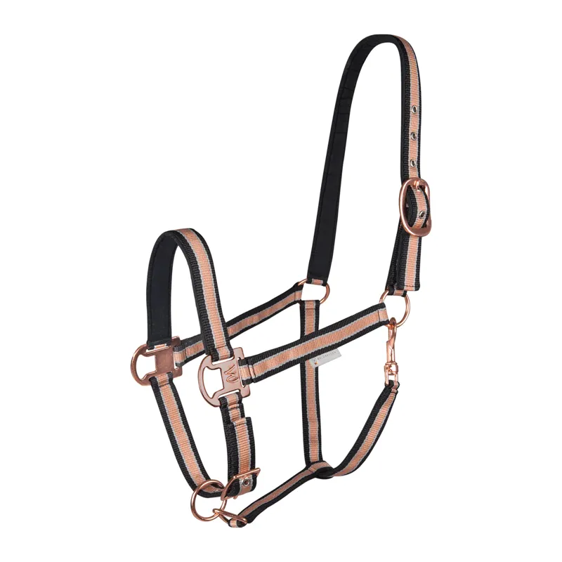 Waldhausen Shine Headcollar - Black/Rose
