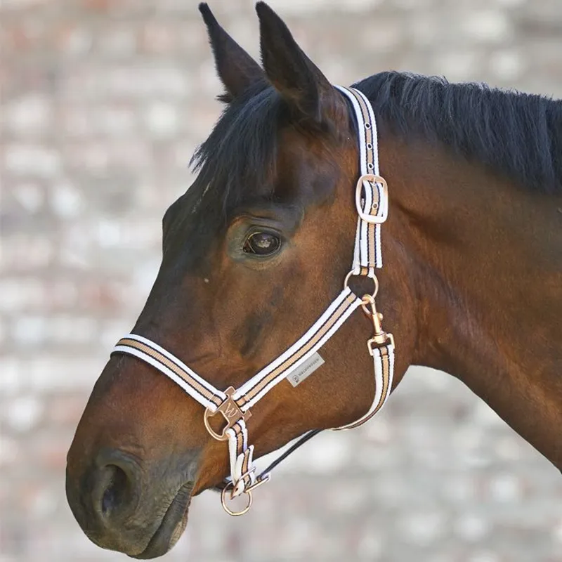 Waldhausen Shine Headcollar - Black/Rose-2