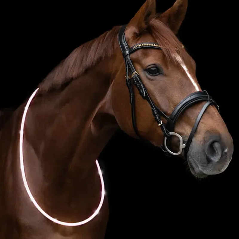 Waldhasen LED Neck Strap - White-1