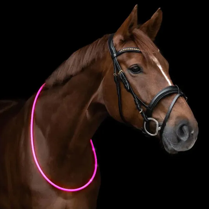 Waldhasen LED Neck Strap - Pink