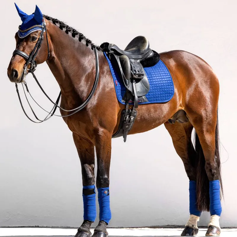 LeMieux Suede Dressage Square - Benetton Blue-1