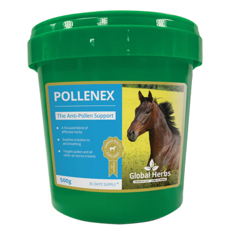 Global Herbs PolleneX Powder-1