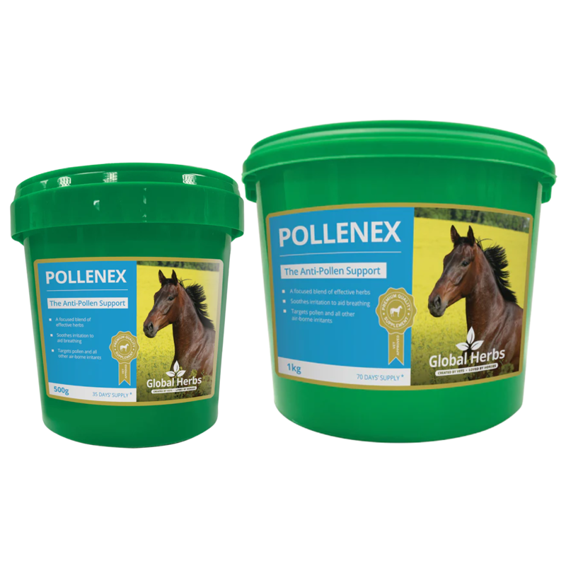 Global Herbs PolleneX Powder