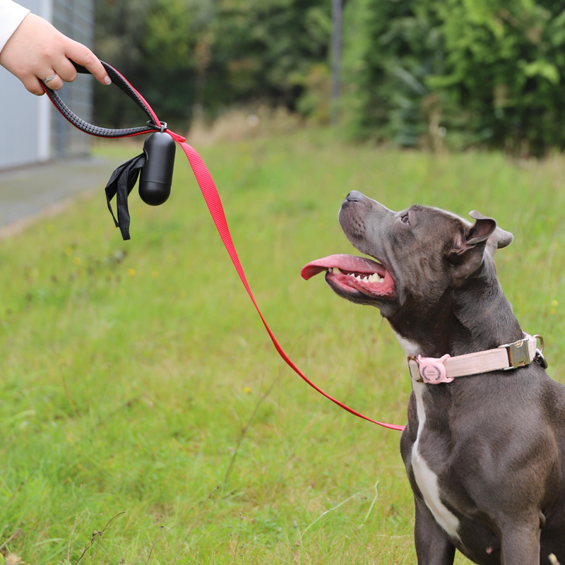Rosewood Biodegradable Poop Bags-4