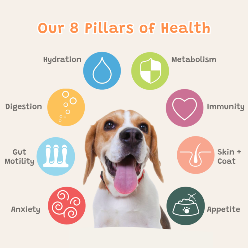 Furr Boost Beef Broccoli and Blueberry Dog Drink - 400ml-4