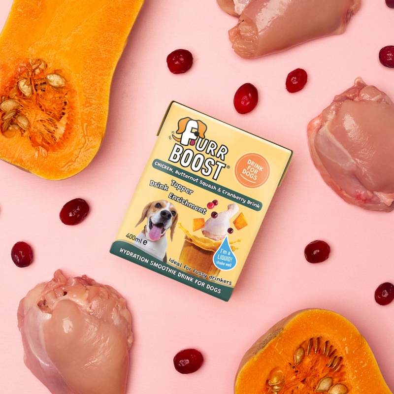 Furr Boost Chicken Butternut Squash and Cranberry Dog Drink-2
