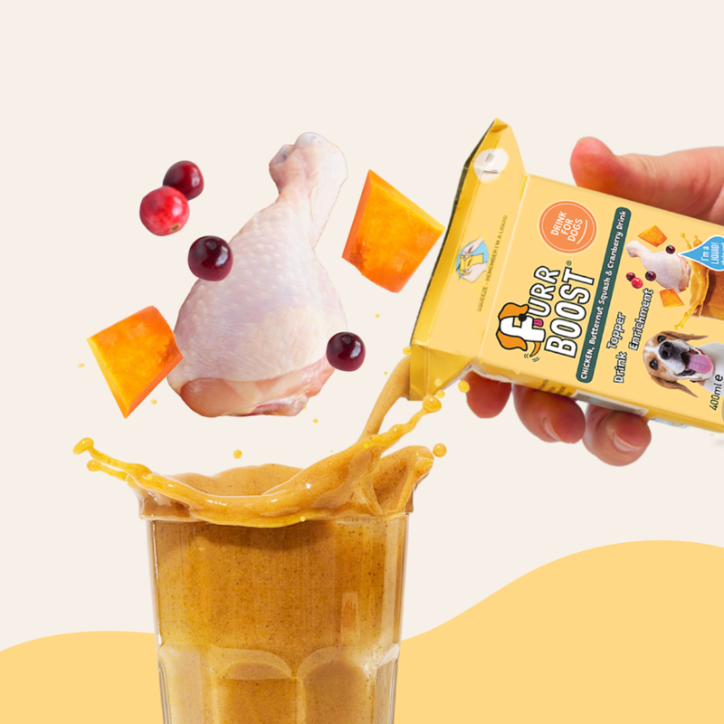 Furr Boost Chicken Butternut Squash and Cranberry Dog Drink-3