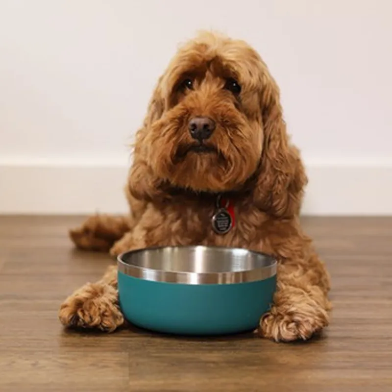 Rosewood Double Wall Bowl 350ml - Teal-2