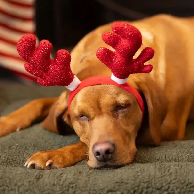 House Of Paws Red Sparkle Antlers Headband-1