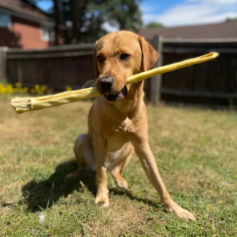 JR Pet Products Whole Beef Tail-1