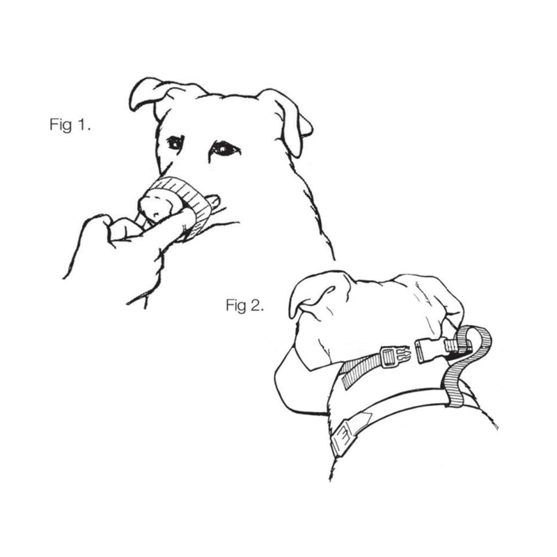 Mikki Nylon Fabric Muzzle-3