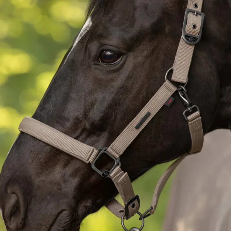 Covalliero Headcollar - Beige-2