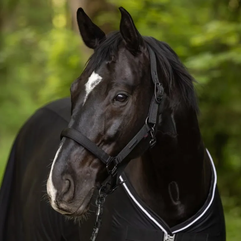Covalliero Headcollar - Black-1