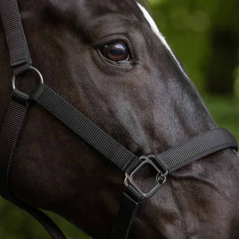 Covalliero Headcollar - Black-2