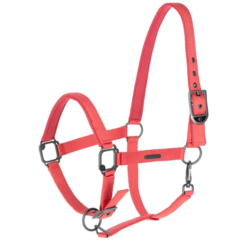 Covalliero Headcollar - Coral