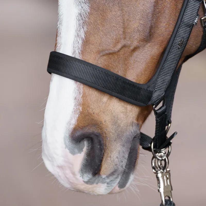 HV Polo Essential Headcollar - Black-2
