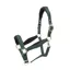 ARMA Padded Headcollar - Green