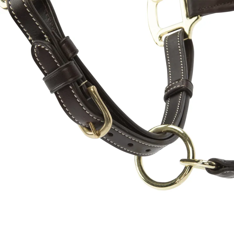 Velociti LUSSO Lorca Leather Headcollar - Havana-4