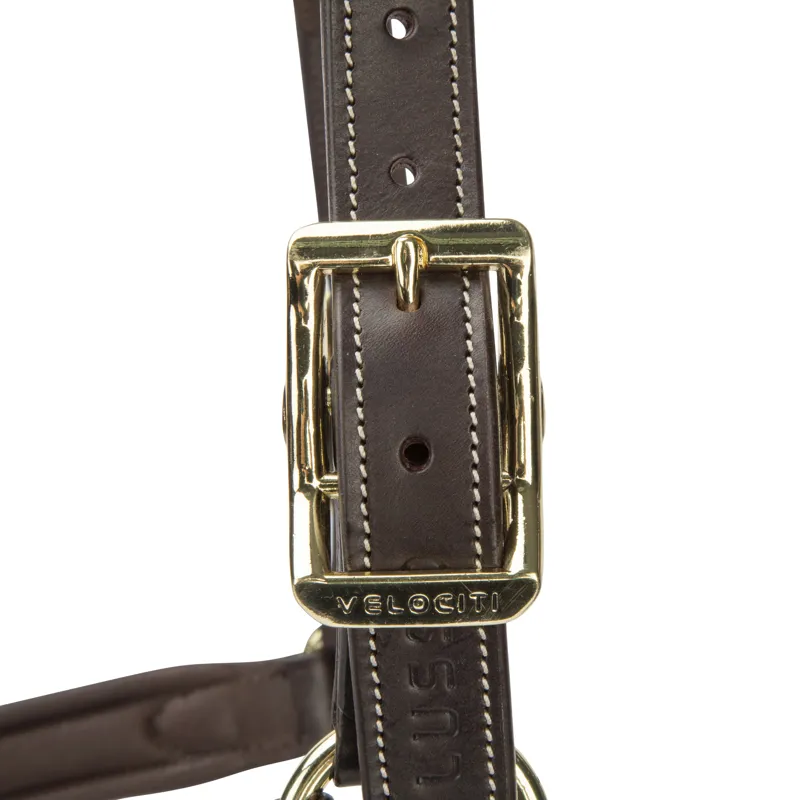 Velociti LUSSO Lorca Leather Headcollar - Havana-1