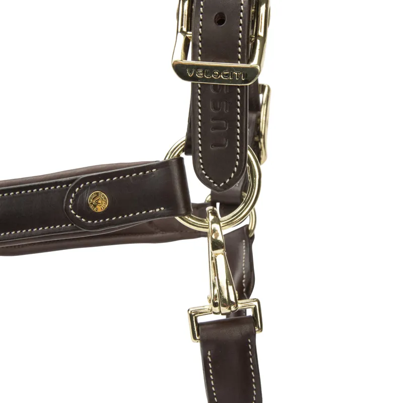 Velociti LUSSO Lorca Leather Headcollar - Havana-5
