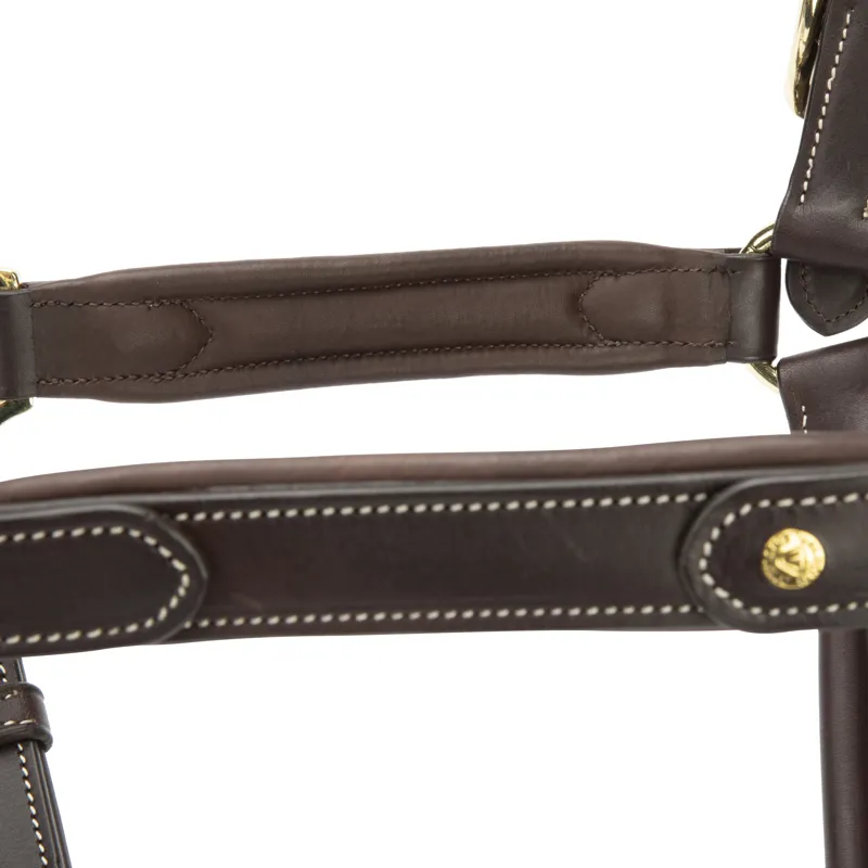 Velociti LUSSO Lorca Leather Headcollar - Havana-3