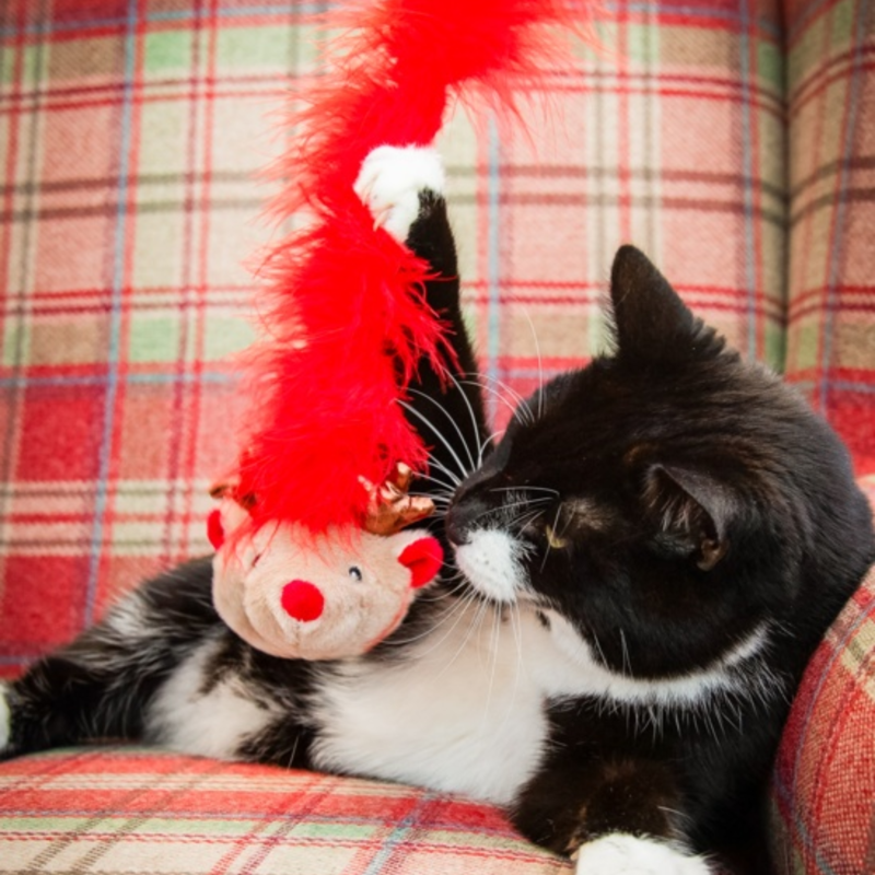 Rosewood Roxy Reindeer Cat Toy-2