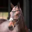 Velociti Lusso Elite Grackle Bridle - Havana