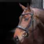 Velociti Lusso Elite Padded Cavesson Bridle - Black