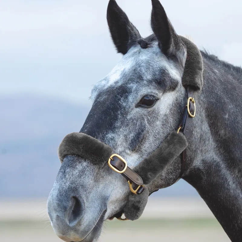 ARMA SupaFleece Halter Fleece Set - Black