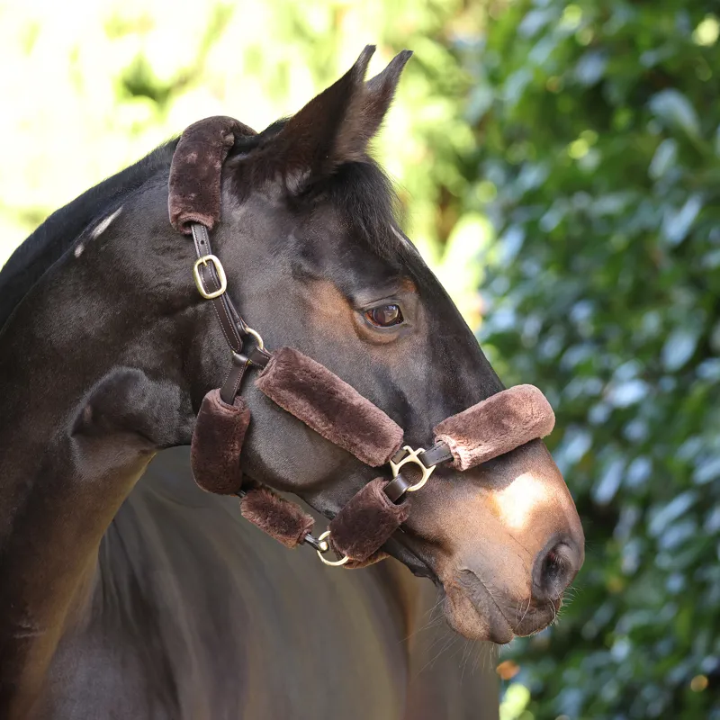 ARMA SupaFleece Halter Fleeces - Brown