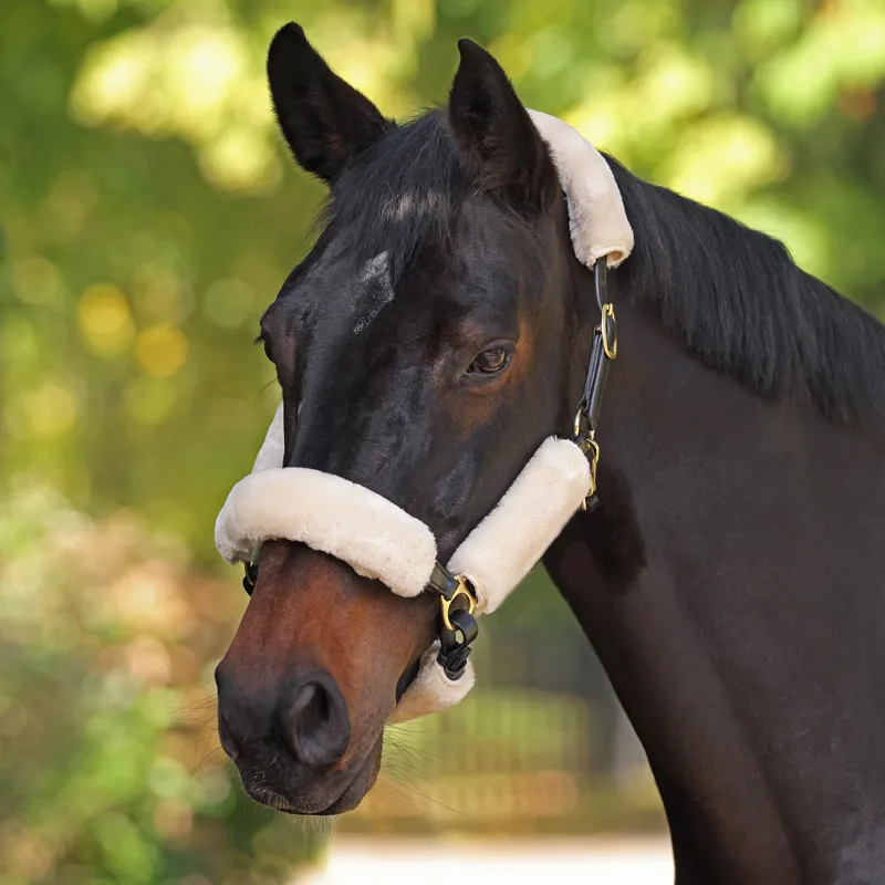 ARMA SupaFleece Halter Fleece Set - Natural