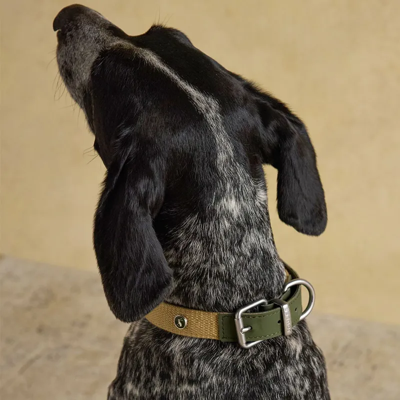 Joules Collar - Khaki-5